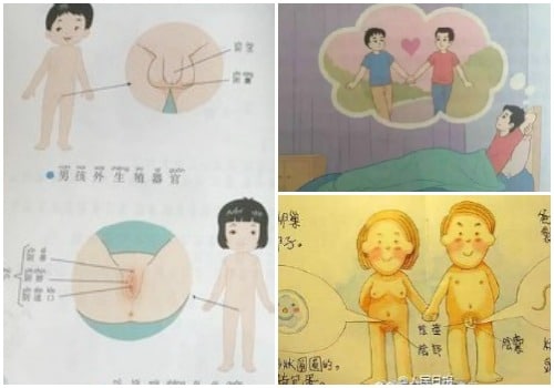 Sex Education In Japan