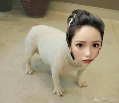 Girls Xuzhou sex in and dogs Dog Cum