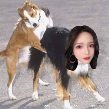 Of dog Hangzhou girl in with sex Girl Dog