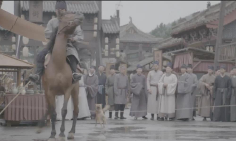 No Animal Harmed in the Making of This Film? Alleged Dog Abuse at Hengdian  World Studios Angers Chinese Netizens | What's on Weibo