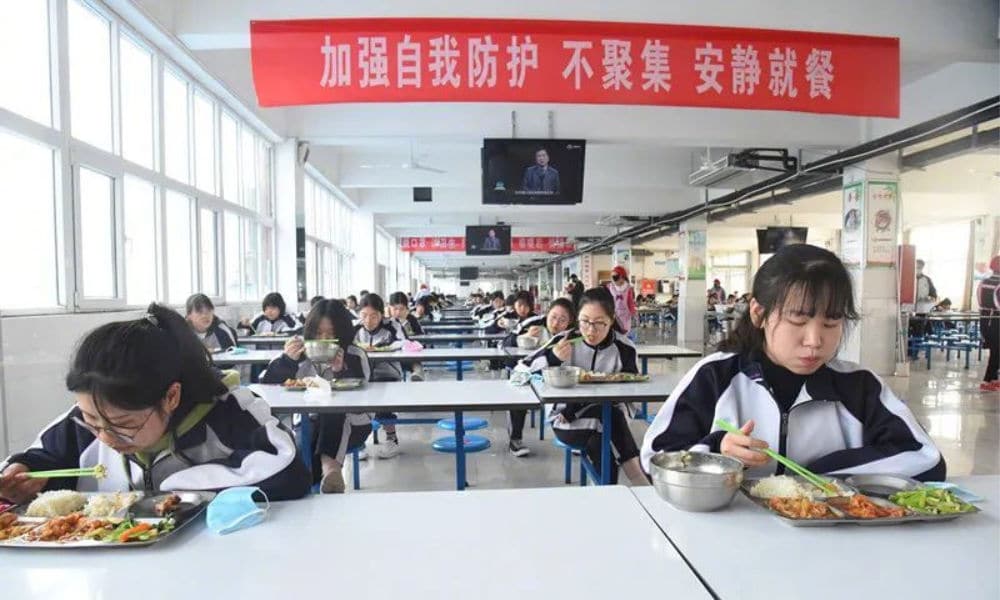 Schools in China Are Reopening, But Will Lunch Breaks Ever Be the Same  Again? - What's on Weibo