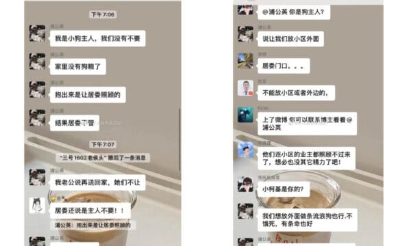 Another pet dog beaten to death by health worker, growing frustration with Shanghai's Covid response chat